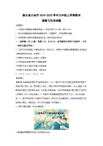 湖北省大冶市2024-2025学年九年级上学期期末道德与法治试卷（解析版）