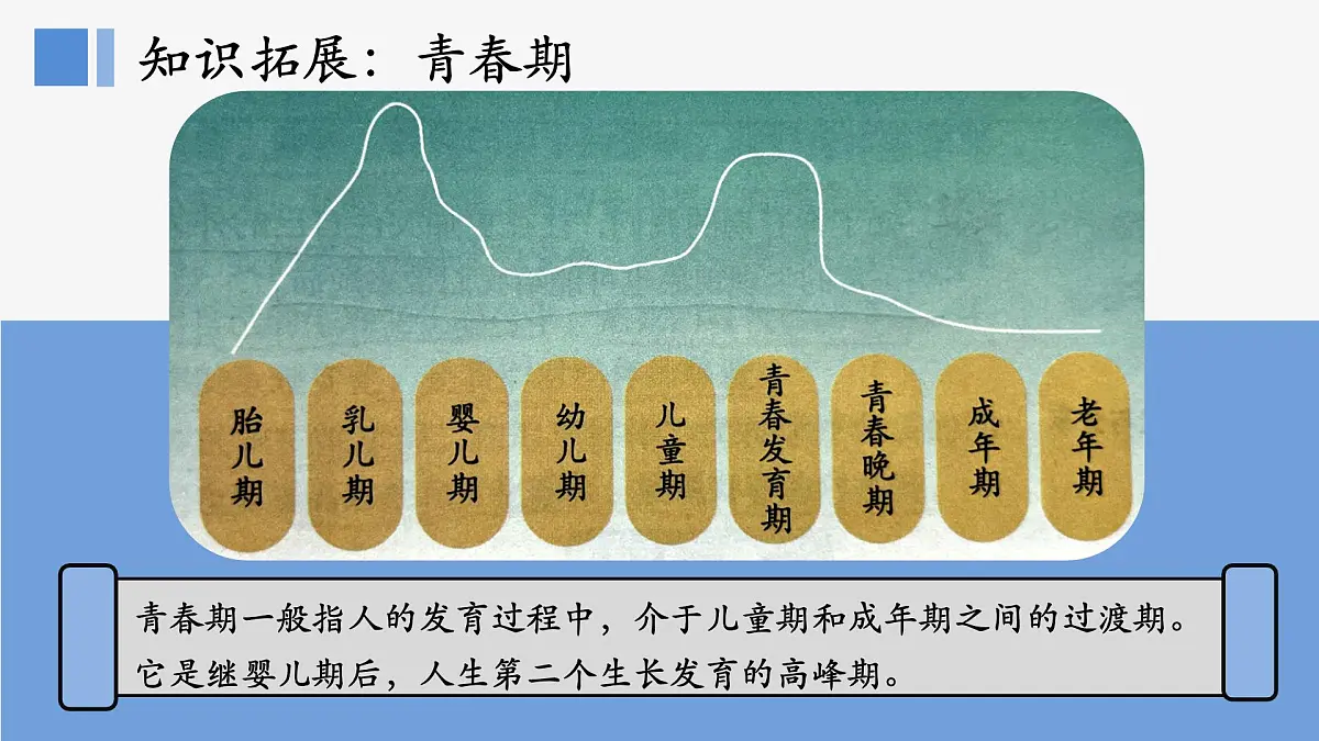 部编人教版初中道德与法治七年级下册1.1 青春的邀约 课件第7页