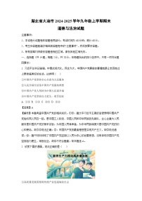 湖北省大冶市2024-2025学年九年级上学期期末道德与法治试卷（解析版）