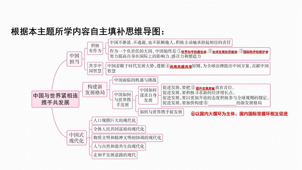 2025年中考道德与法治政治认同核心素养复习:主题五 中国与世界紧相连 携手共发展 课件第4页