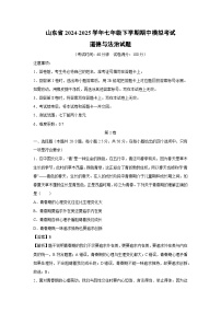 山東省2024-2025學(xué)年七年級下學(xué)期期中模擬考試道德與法治試卷（解析版）