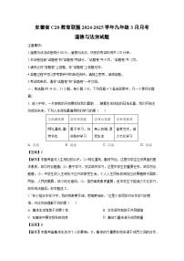 安徽省C20教育联盟2024-2025学年九年级下3月月考道德与法治试卷（解析版）