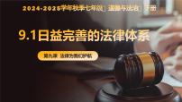 政治 (道德与法治)七年级下册（2024）日益完善的法律体系示范课课件ppt
