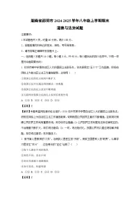 湖南省邵阳市2024-2025学年八年级上学期期末道德与法治试卷（解析版）