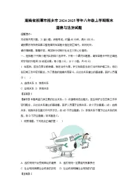 湖南省湘潭市湘乡市2024-2025学年八年级上学期期末道德与法治试卷（解析版）