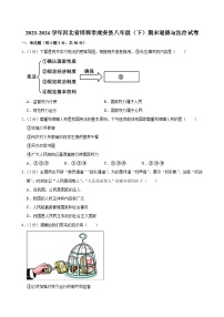 河北省邯郸市成安县2023-2024学年八年级下学期期末道德与法治试卷