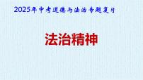 2025年中考道德与法治专题复习：法治精神 课件