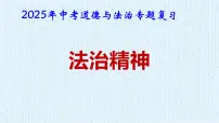 2025年中考道德与法治专题复习:法治精神 课件