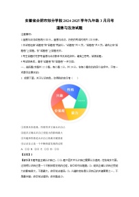 安徽省合肥市部分学校2024-2025学年九年级下3月月考道德与法治试题（解析版）