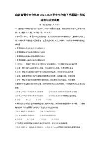 山西省晋中市介休市2024-2025学年七年级下学期期中考试道德与法治试题