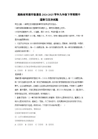 湖南省常德市临澧县2024-2025学年九年级下学期期中道德与法治试卷(解析版)