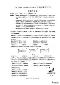 2025年广东省东莞市中考三模道德与法治试题（中考模拟）