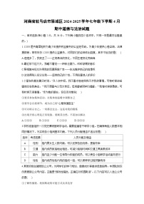 河南省驻马店市驿城区2024-2025学年七年级下学期4月期中道德与法治试卷