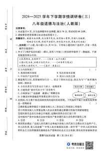 河南省驻马店市正阳县2024-2025学年八年级下学期5月月考道德与法治试题