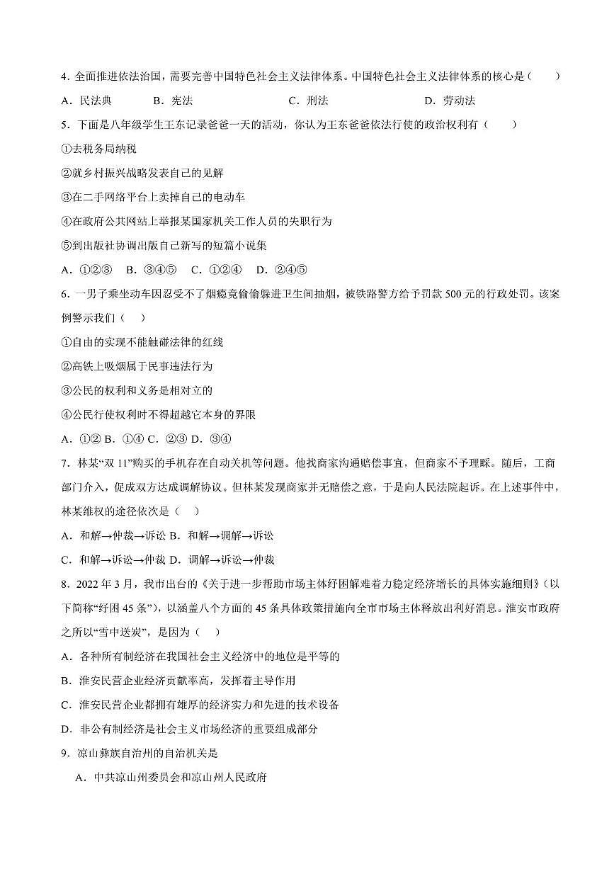 惠州市惠阳区华南师大附属惠阳学校2024-205学年八年级下学期6月月考-道法第2页