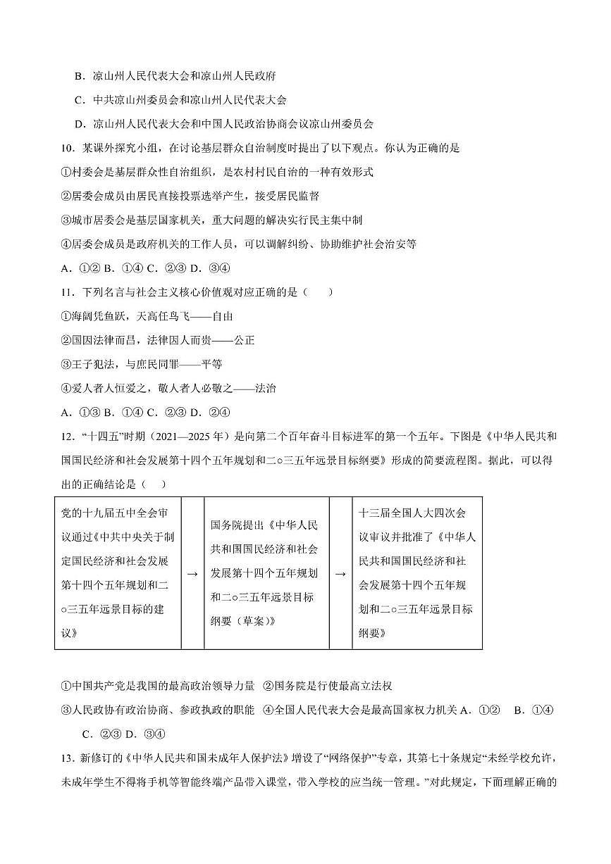 惠州市惠阳区华南师大附属惠阳学校2024-205学年八年级下学期6月月考-道法第3页