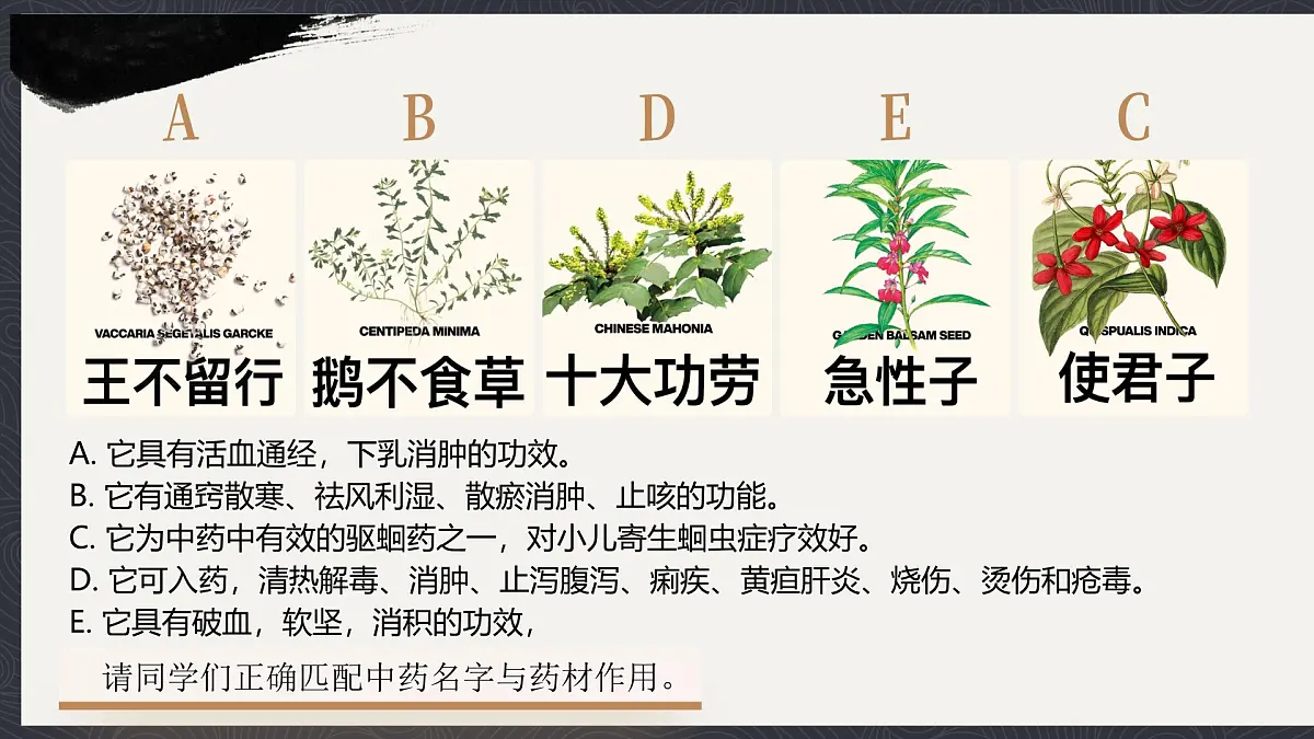 部编版2024道德与法治七年级下册6.1《历久弥新的思想理念》 课件第1页