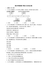 【期末押题预测】青春正当时综合题练习(含解析)-道德与法治7年级下册