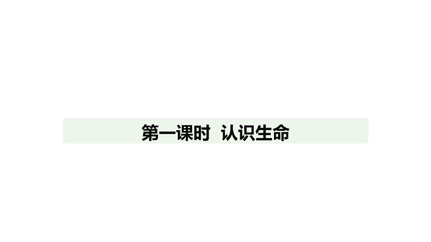 人教版(2024)道德与法治七年级上册 8.1 认识生命(课件)第1页