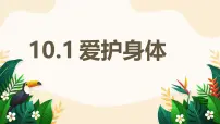 初中政治 (道德与法治)人教版(2024)七年级上册(2024)爱护身体教学课件ppt