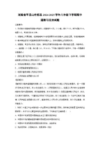 河南省平顶山市郏县2024-2025学年八年级下学期期中道德与法治试卷（解析版）