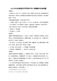 2025年山东省临沂市平邑县中考一模道德与法治试卷（解析版）
