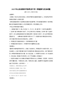 2025年山东省德州市临邑县中考一模道德与法治试卷（解析版）