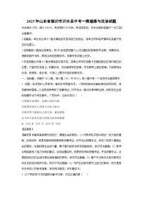 2025年山东省临沂市沂水县中考一模道德与法治试卷（解析版）