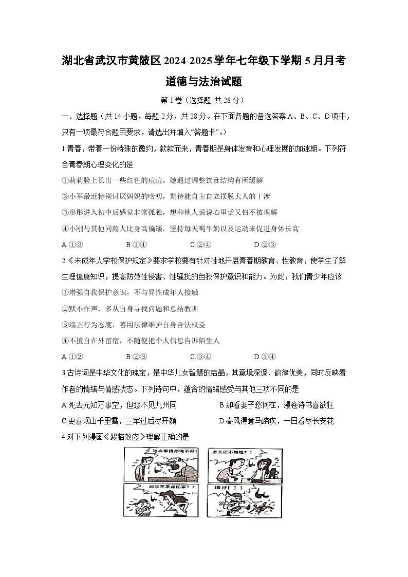 【道德与法治】湖北省武汉市黄陂区2024-2025学年七年级下学期5月月考试题