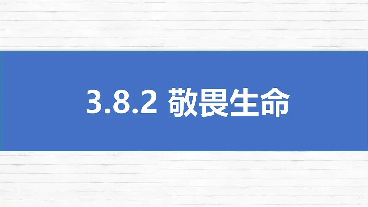 8.2 敬畏生命 课件 2025-2026学年统编版道德与法治七年级上册第1页