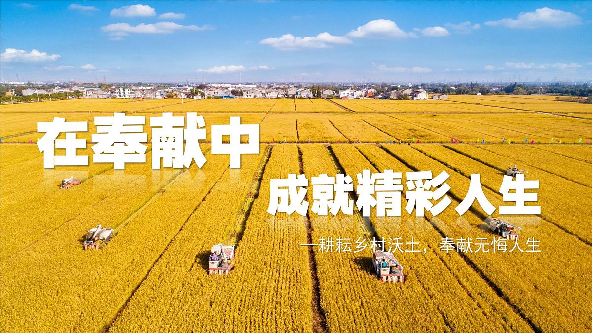 13.2在奉献中成就精彩人生 同步课件 统编版道德与法治七年级上册第2页