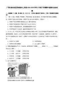 广西壮族自治区防城港市上思县2024-2025学年八年级下学期期中道德与法治试题