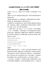 山东省临沂市河东区2024-2025学年八年级下学期期中道德与法治试卷(解析版)