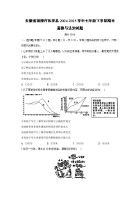 【道德与法治】安徽省铜陵市枞阳县2024-2025学年七年级下学期期末试题