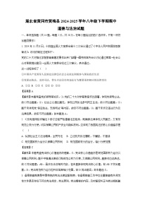 湖北省黄冈市黄梅县2024-2025学年八年级下学期期中道德与法治试卷（解析版）