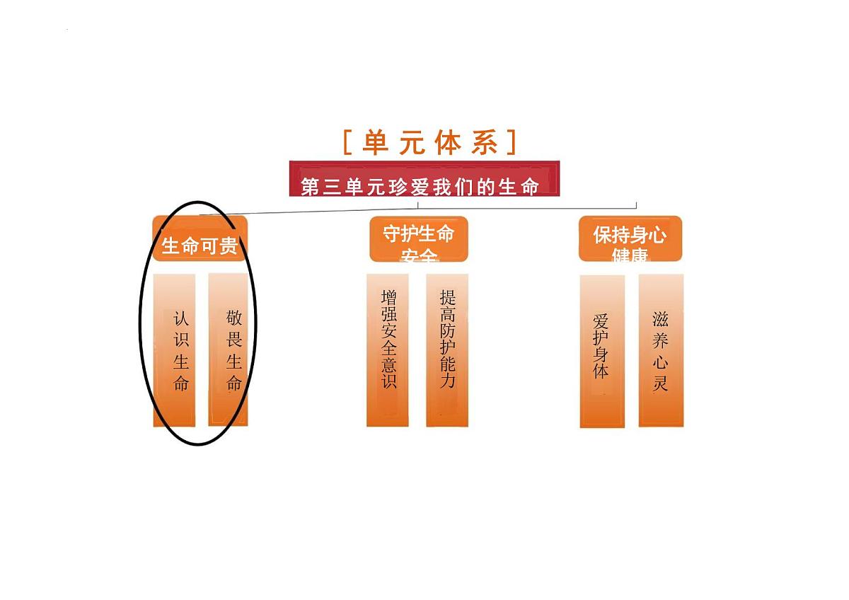 8.1认识生命课件-统编版道德与法治七年级上册第1页