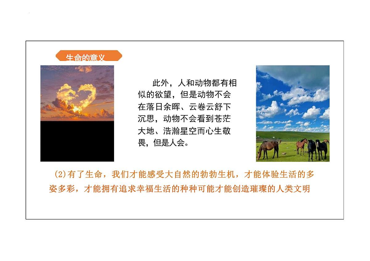 8.1认识生命课件-统编版道德与法治七年级上册第7页