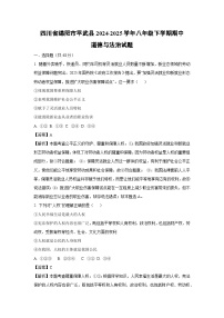 四川省绵阳市平武县2024-2025学年八年级下学期期中道德与法治试卷（解析版）