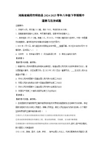 河南省南阳市桐柏县2024-2025学年八年级下学期期中道德与法治试卷（解析版）