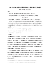 2025年山东省青岛市黄岛区中考二模道德与法治试卷（解析版）