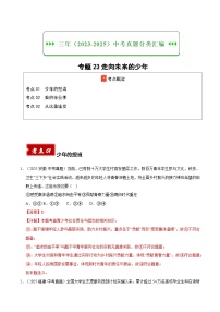 三年（2023-2025）中考道德与法治真题分类汇编：专题23走向未来的少年（解析版）