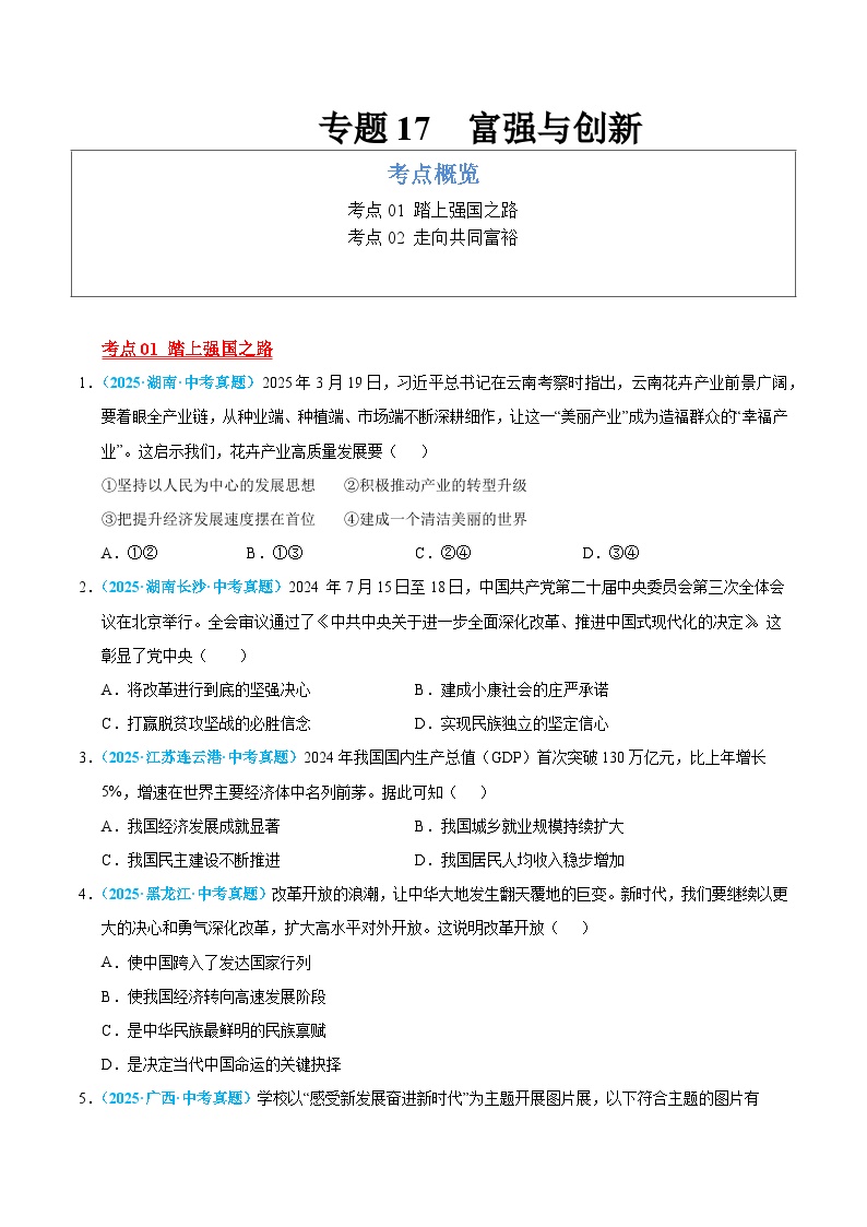 2025年中考道德与法治真题分类汇编（全国通用）专题17 富强与创新（全国通用）（第01期）（原卷版）