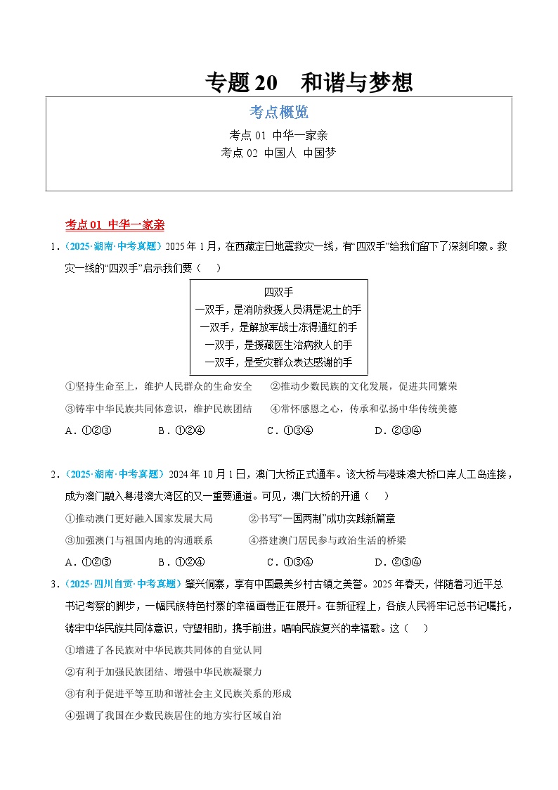 2025年中考道德与法治真题分类汇编（全国通用）专题20 和谐与梦想（全国通用）（第01期）（原卷版）