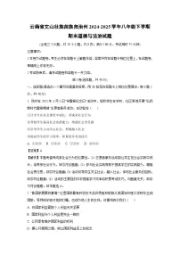云南省文山壮族苗族自治州2024-2025学年八年级下学期期末道德与法治试卷（解析版）