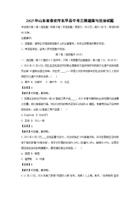 2025年山东省泰安市东平县中考三模道德与法治试题（解析版）