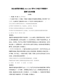 河北省邯郸市魏县2024-2025学年八年级下学期期中试题道德与法治试卷（解析版）