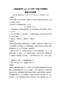 云南省普洱市2024-2025学年八年级下学期期末道德与法治试题（解析版）