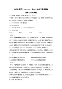 甘肃省庆阳市2024-2025学年七年级下学期期末道德与法治试题（解析版）