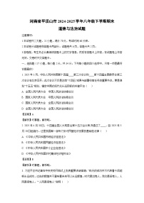 河南省平顶山市2024-2025学年八年级下学期期末道德与法治试题（解析版）