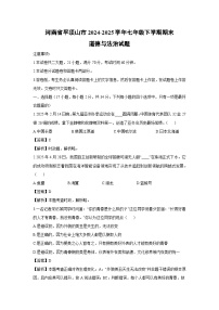 河南省平顶山市2024-2025学年七年级下学期期末道德与法治试题(解析版)